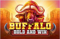 Try out the Buffalo Hold and Win slot game at Pin Up.