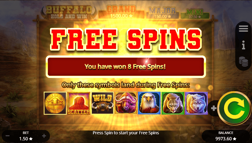 Bonus Free spins round in Buffalo Hold and Win