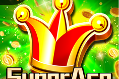 Enjoy the Super Ace slot game at Pin Up.